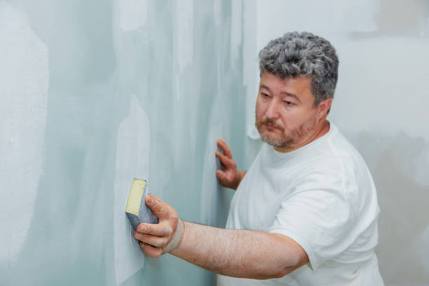 Best Wallpaper Removal and Painting  in St Pauls, NC